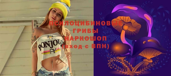 дурь Алексеевка