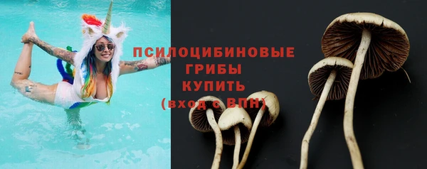 ПСИЛОЦИБИНОВЫЕ ГРИБЫ Алзамай