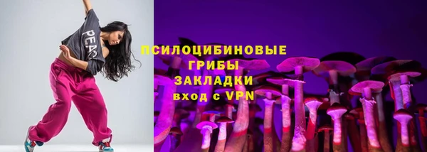 дурь Алексеевка