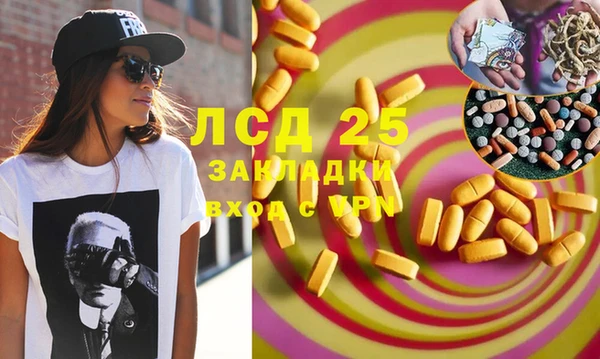 ПСИЛОЦИБИНОВЫЕ ГРИБЫ Алзамай