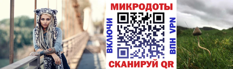 Псилоцибиновые грибы мицелий  цены   Казань 