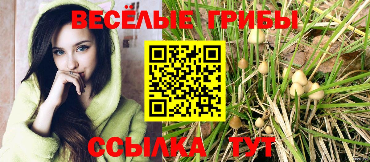 Галлюциногенные грибы мухоморы  Вход с VPN  Казань  Галлюциногенные грибы Magic Shrooms 